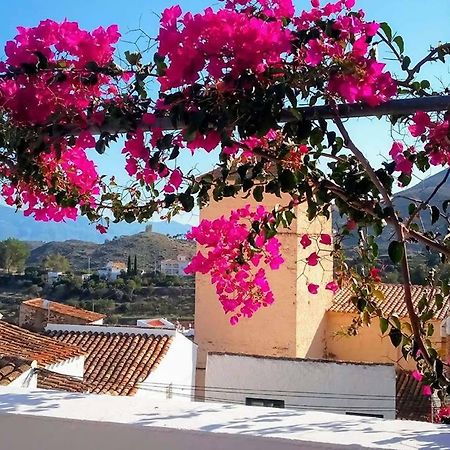 Casa Caballito De Mar Boutique B&B Bédar Eksteriør billede