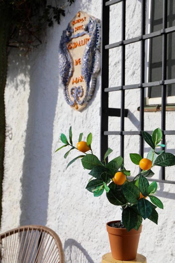 Casa Caballito De Mar Boutique B&B Bédar Eksteriør billede