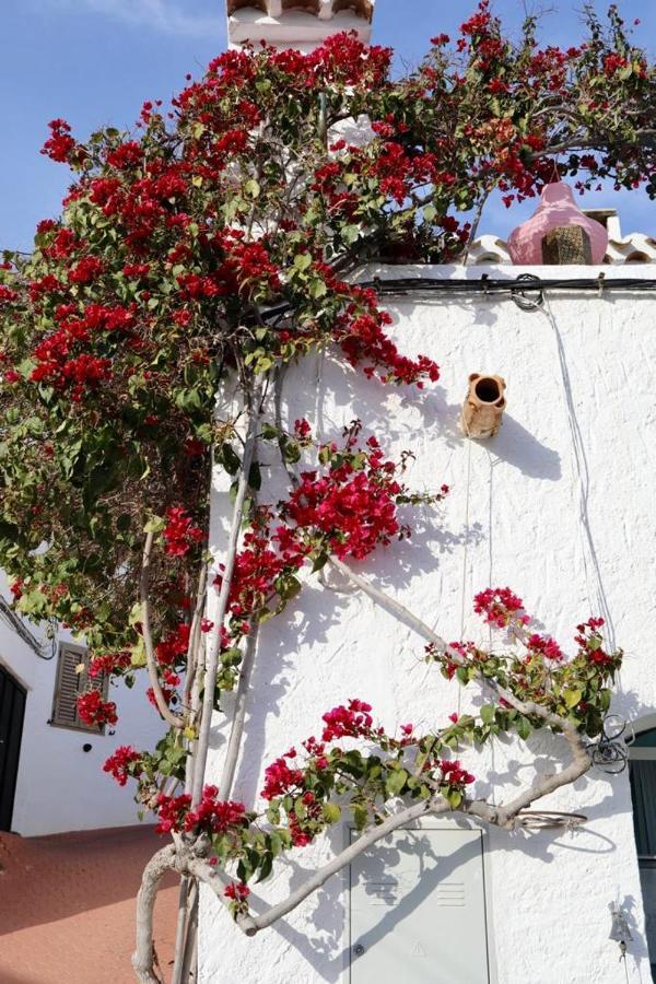 Casa Caballito De Mar Boutique B&B Bédar Eksteriør billede