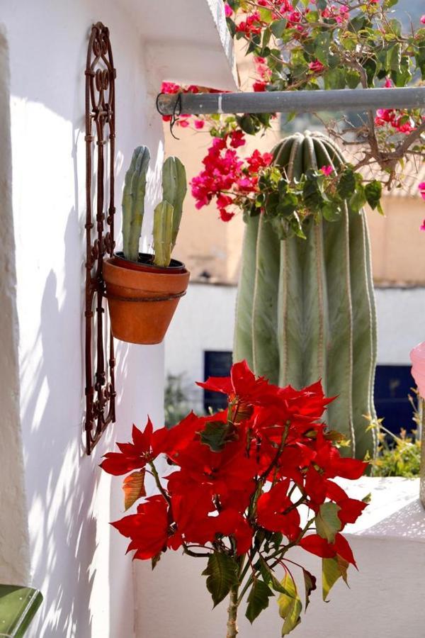 Casa Caballito De Mar Boutique B&B Bédar Eksteriør billede