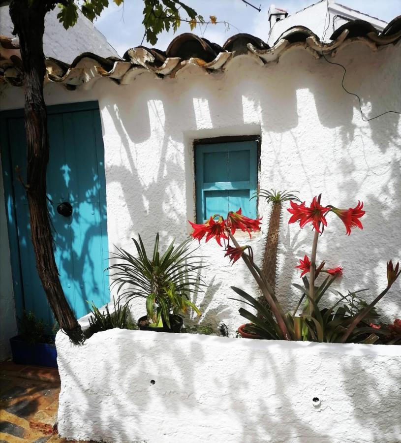 Casa Caballito De Mar Boutique B&B Bédar Eksteriør billede