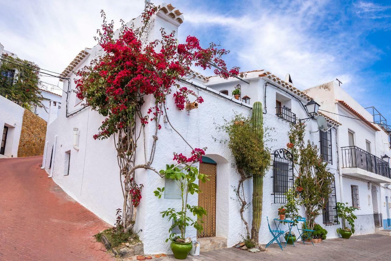 Casa Caballito De Mar Boutique B&B Bédar Eksteriør billede